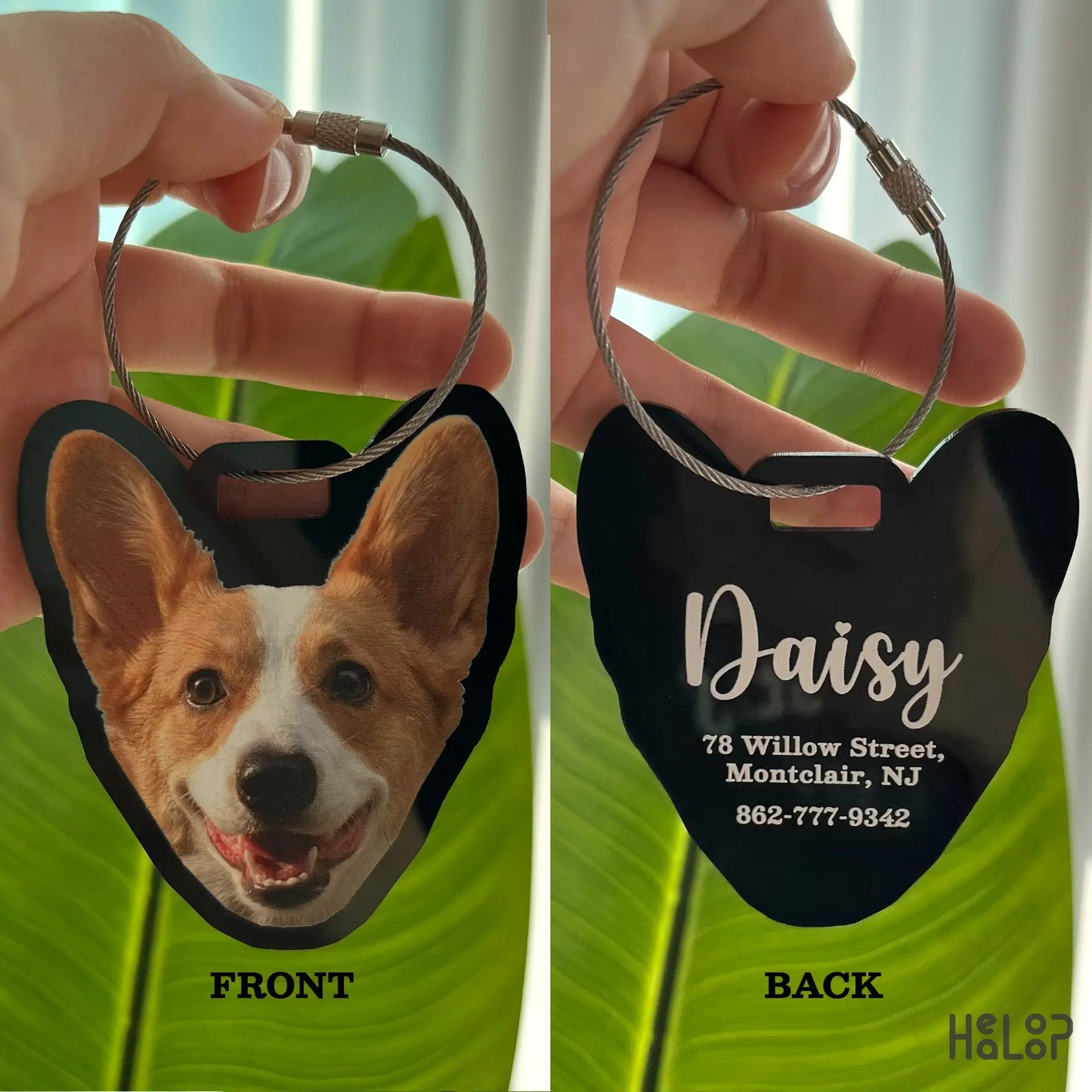 Custom corgi luggage tag with front pet photo and back information