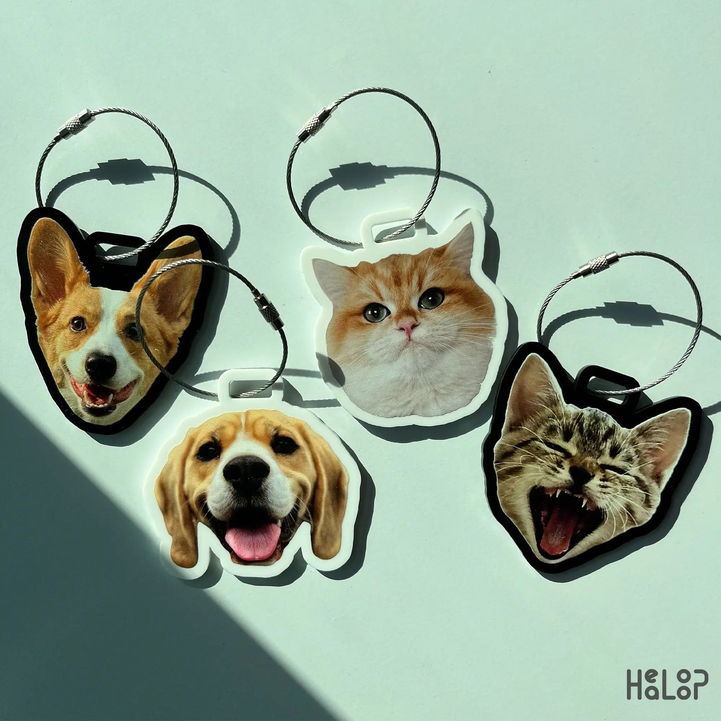 Custom luggage tags featuring dog and cat photos, ideal for travel bags