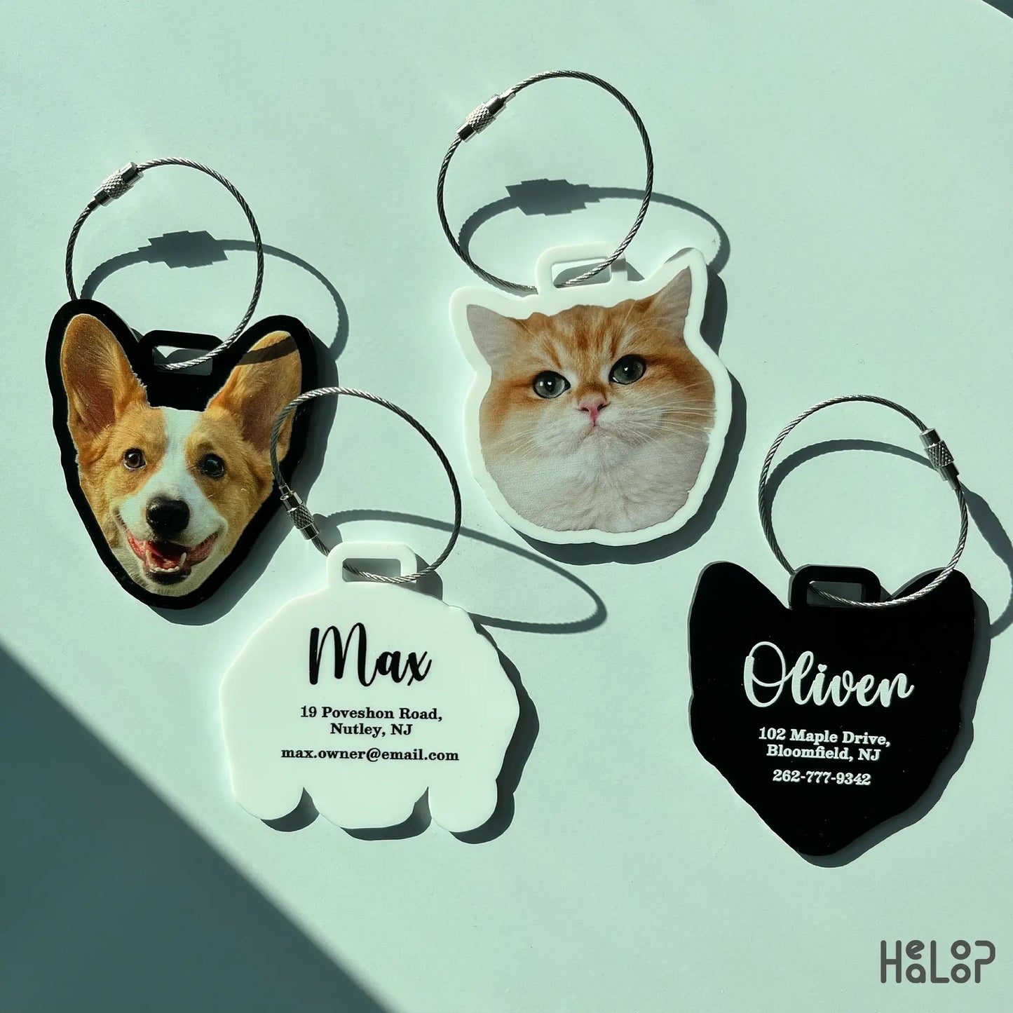 Backside of personalized luggage tag with pet name and owner contact details