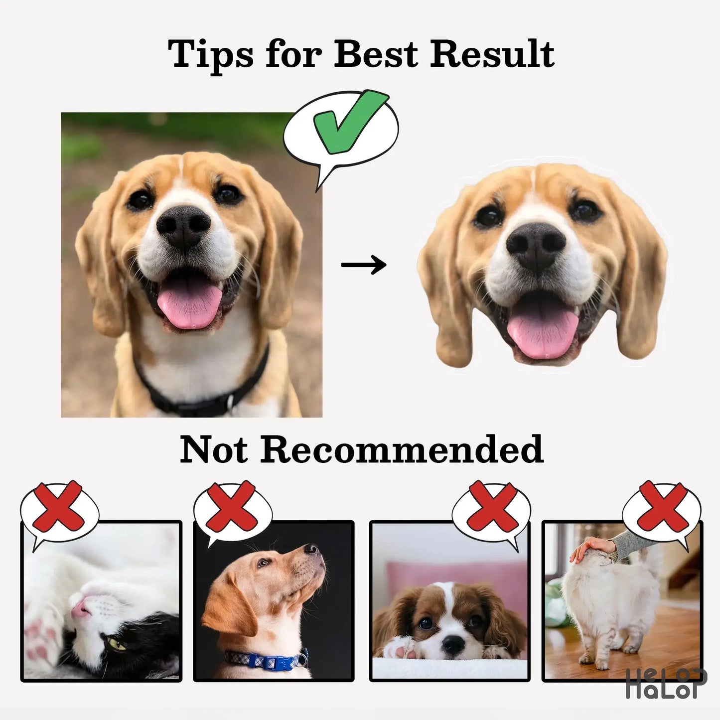 Photo tips for best result