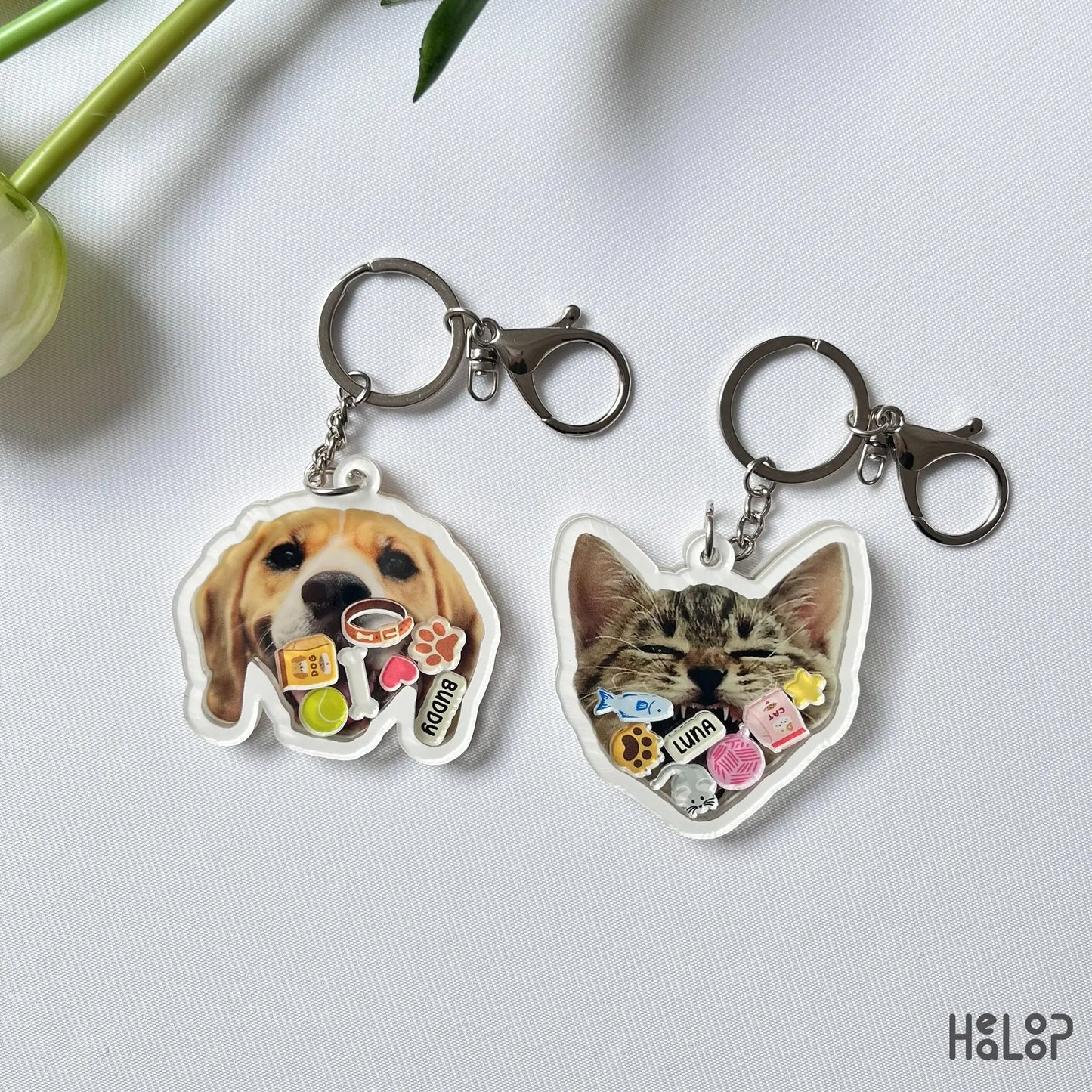 Custom Pet Shaker Keychain