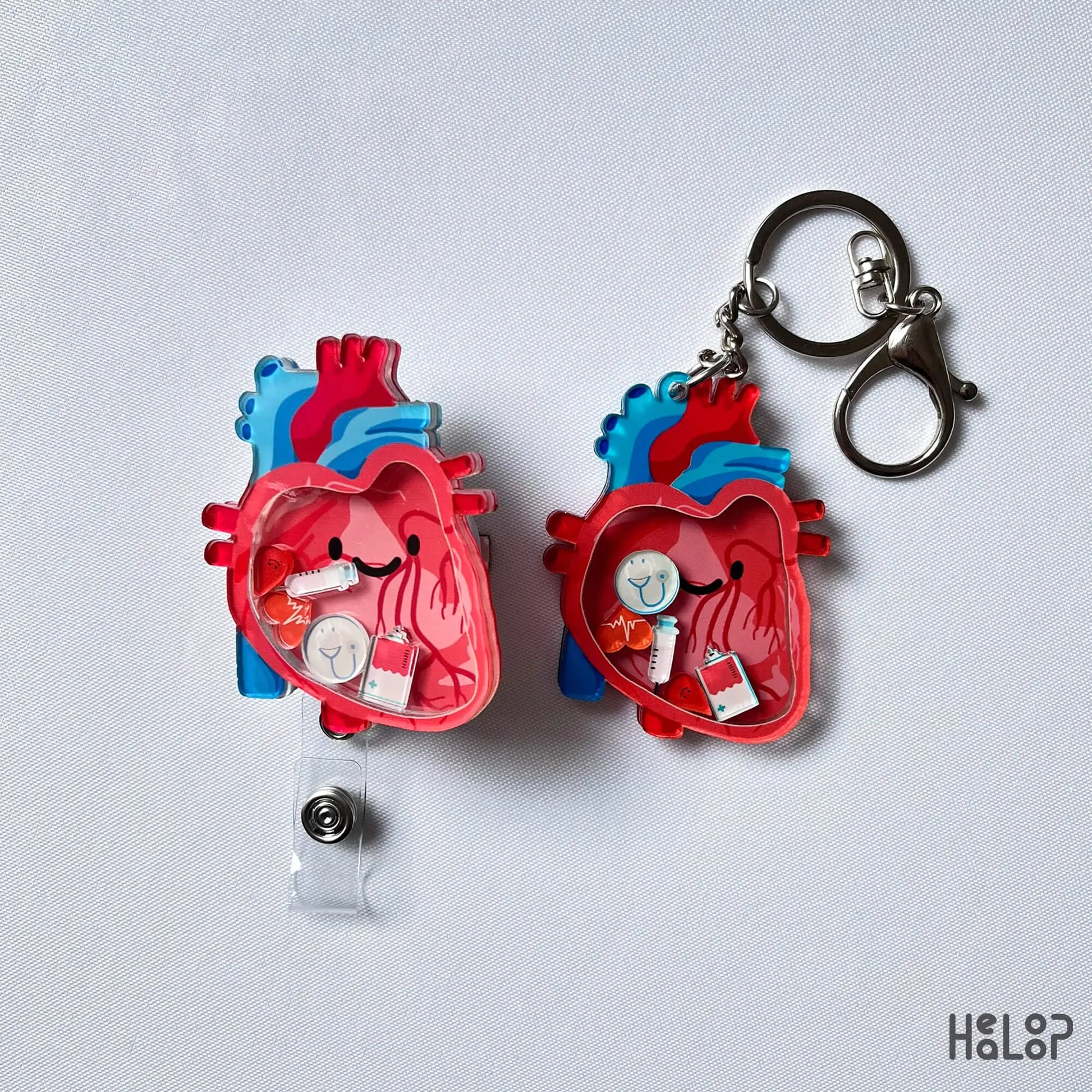 Anatomical heart badge reel and keychain set