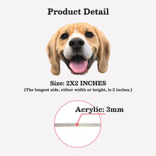Custom Badge Reel Product Detail