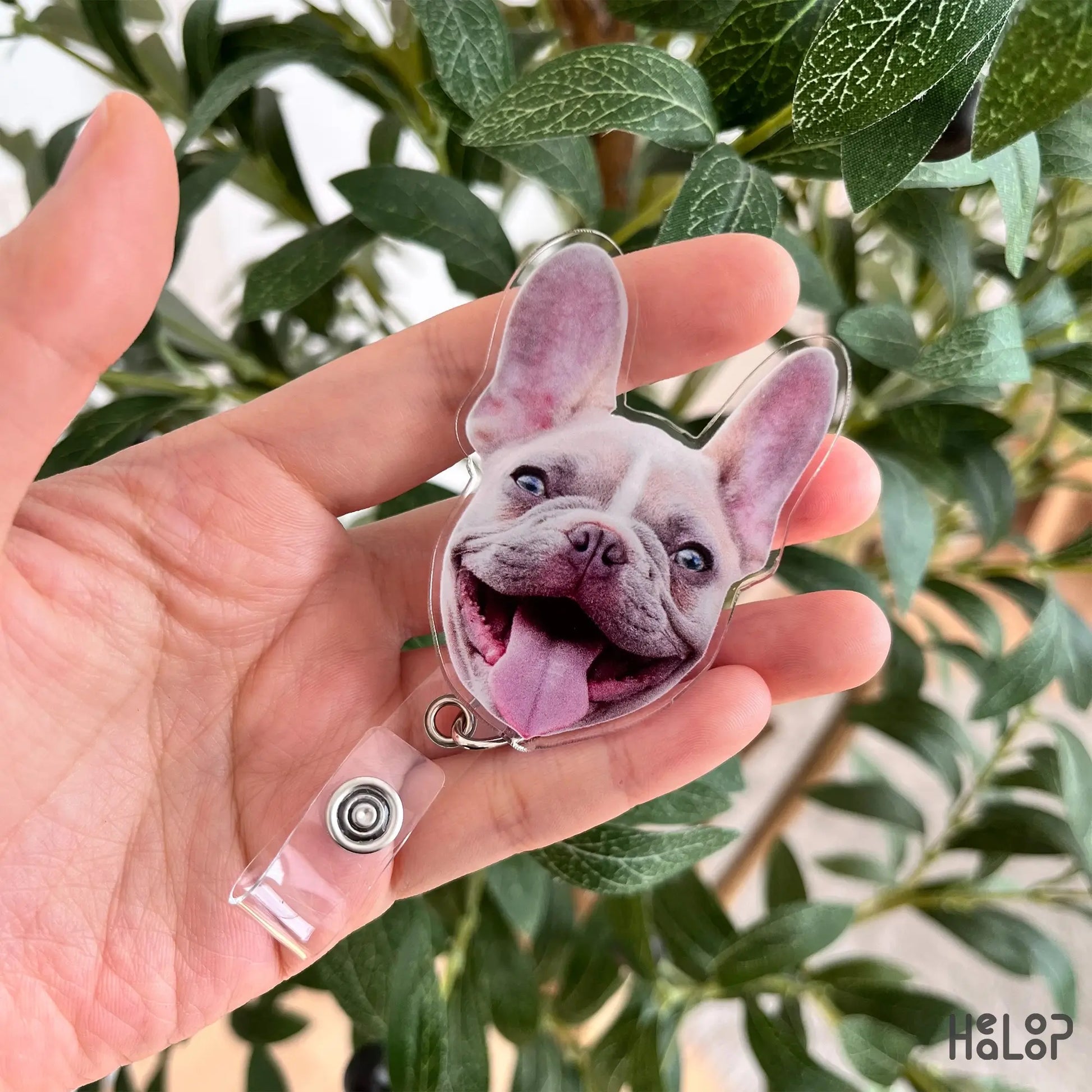 Custom dog photo badge reel personalized pet badge holder