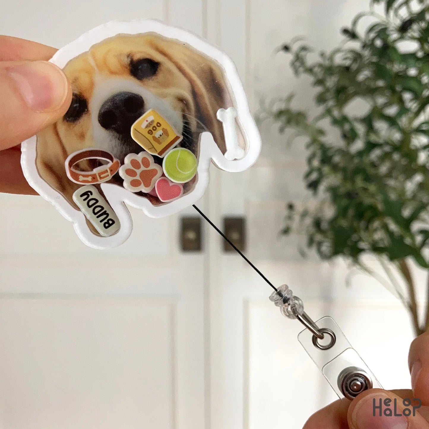 Retractable dog badge reel.