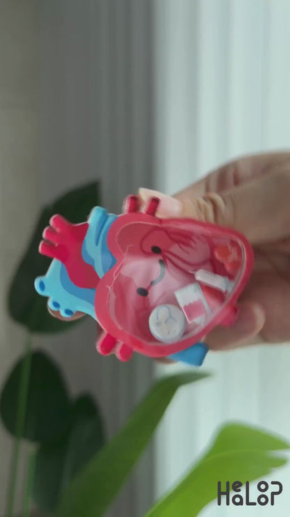 Anatomical Heart Shaker Phone Grip Video