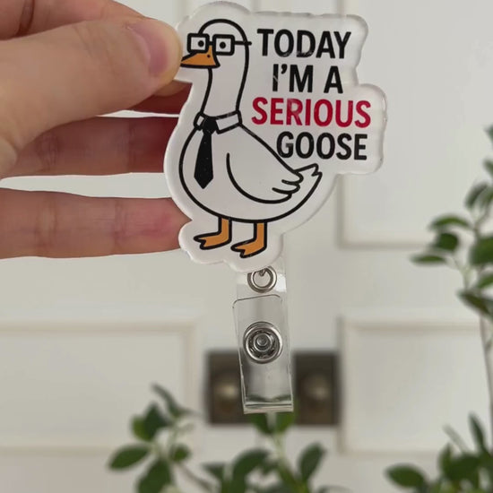 Today I’m a Serious Goose Video