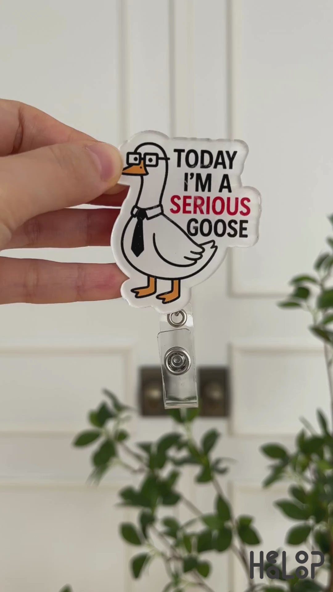 Today I’m a Serious Goose Video