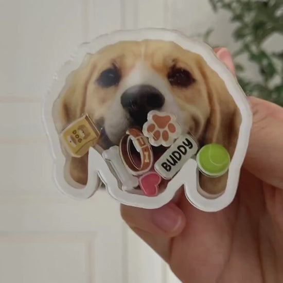 Custom pet shaker phone grip video