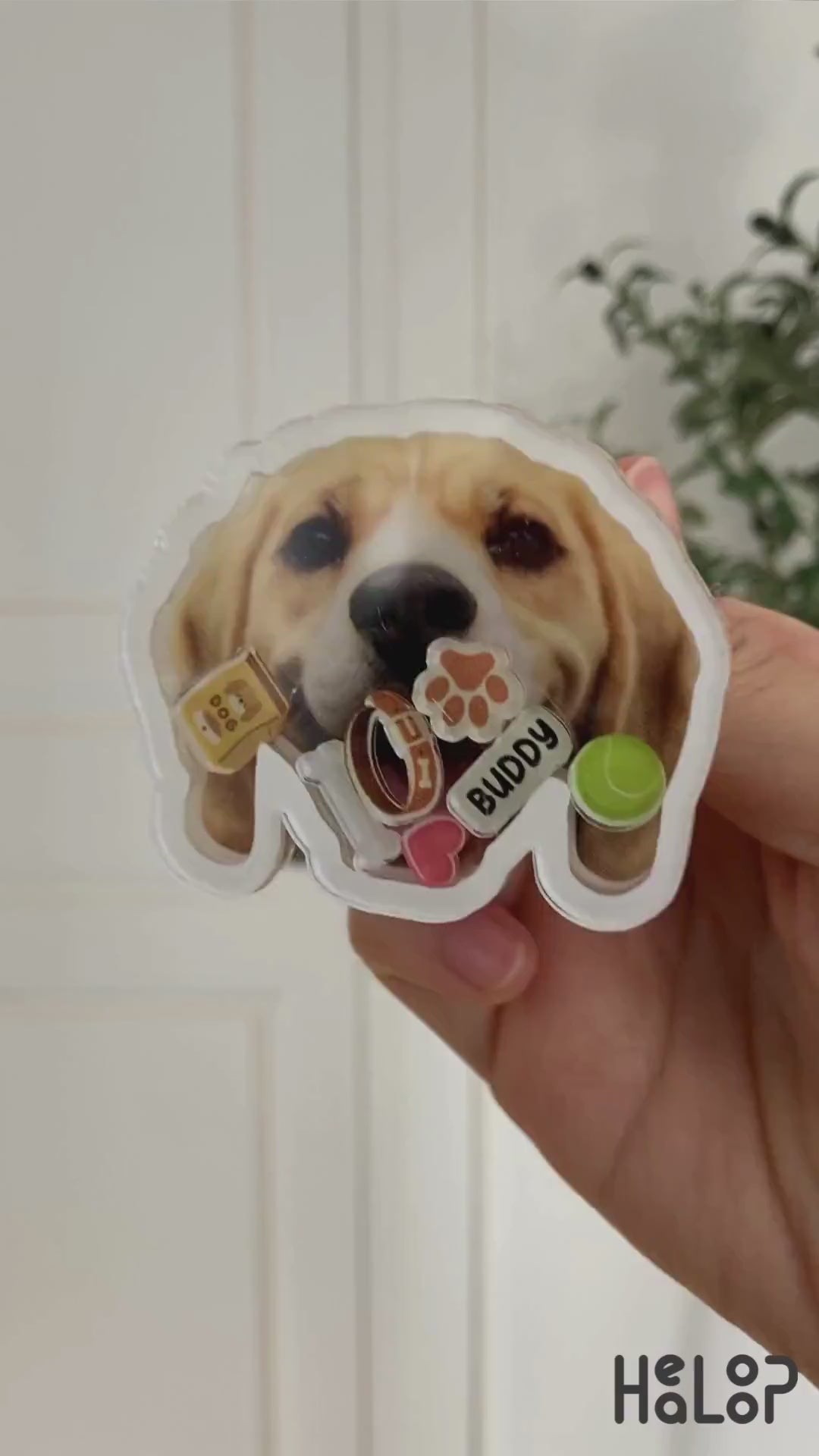 Custom pet shaker phone grip video