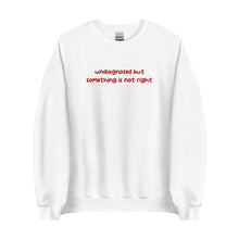 White-colored sweatshirt with 'undiagnosed but something is not right' embroidered in red, displayed flat for a detailed view.