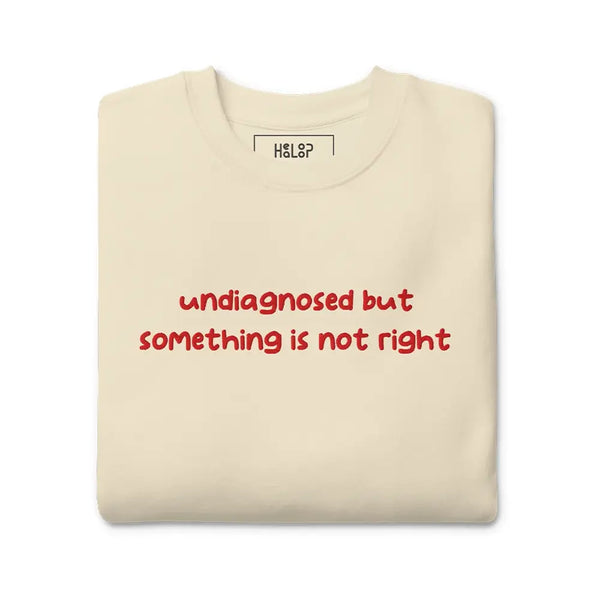 Folded Bone-colored sweatshirt with 'undiagnosed but something is not right' embroidered in red, highlighting mental health.