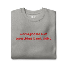 Folded Carbon Grey sweatshirt with 'undiagnosed but something is not right' embroidered in red, promoting mental health awareness.